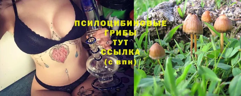 маркетплейс какой сайт  hydra зеркало  Красноярск  Псилоцибиновые грибы Magic Shrooms 